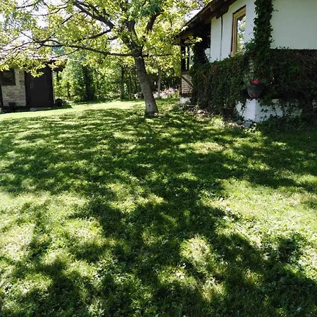 Apartment Morava 2 *