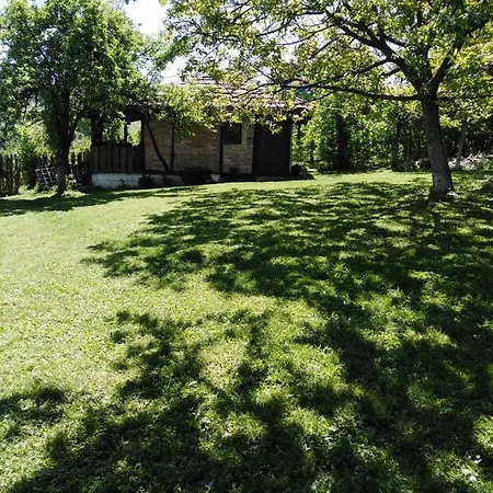 Apartment Morava 2 *