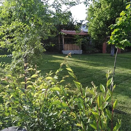 Apartment Morava 2 Vrnjacka Banja